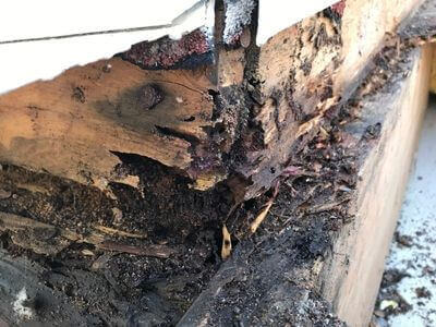 Professional water damage restoration services in Kent - PureCore Pros
